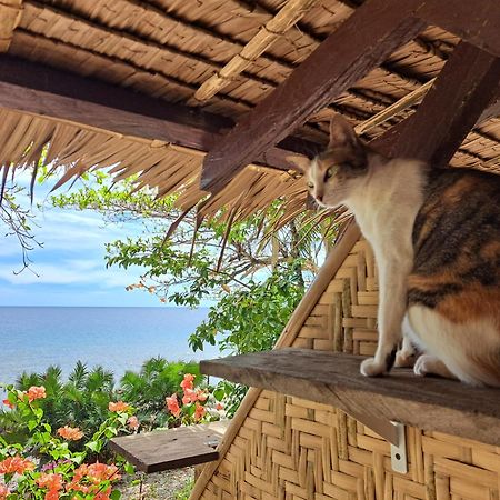 Paseo Del Mar Seaside Inn Jagna ภายนอก รูปภาพ