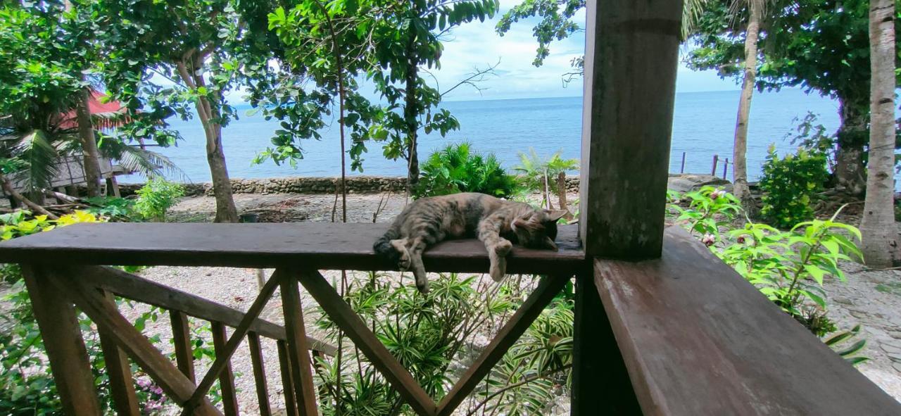 Paseo Del Mar Seaside Inn Jagna ภายนอก รูปภาพ