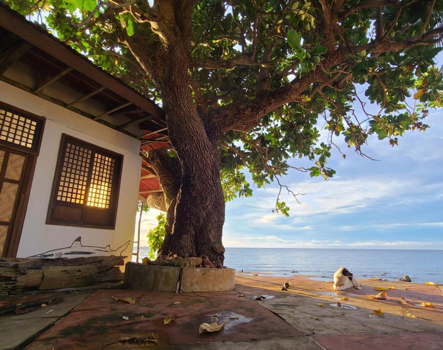 Paseo Del Mar Seaside Inn Jagna ภายนอก รูปภาพ