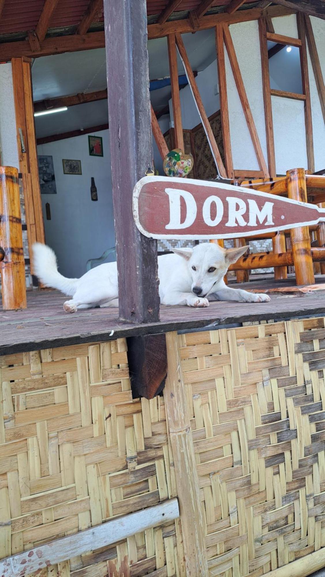 Paseo Del Mar Seaside Inn Jagna ภายนอก รูปภาพ