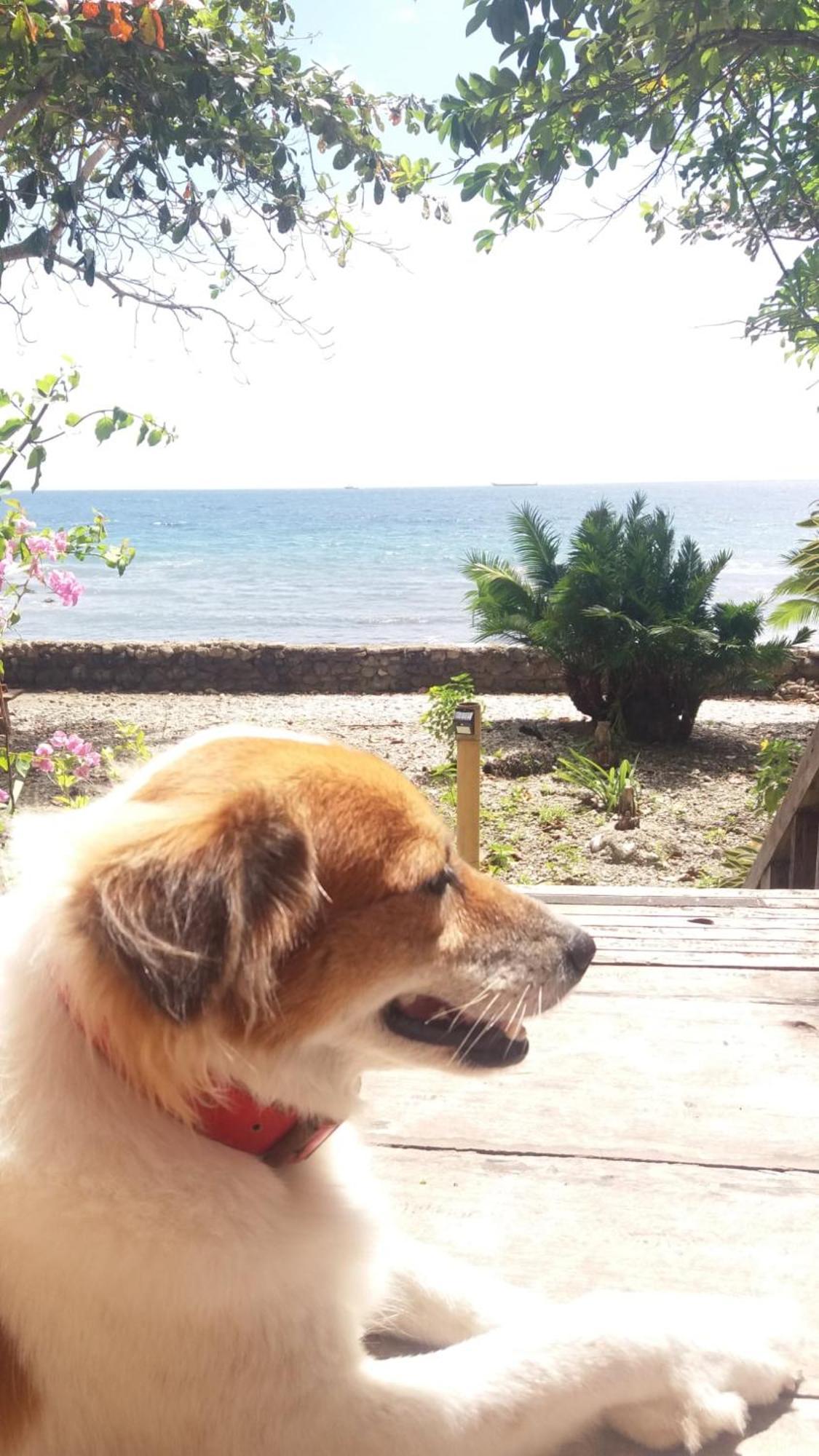Paseo Del Mar Seaside Inn Jagna ภายนอก รูปภาพ