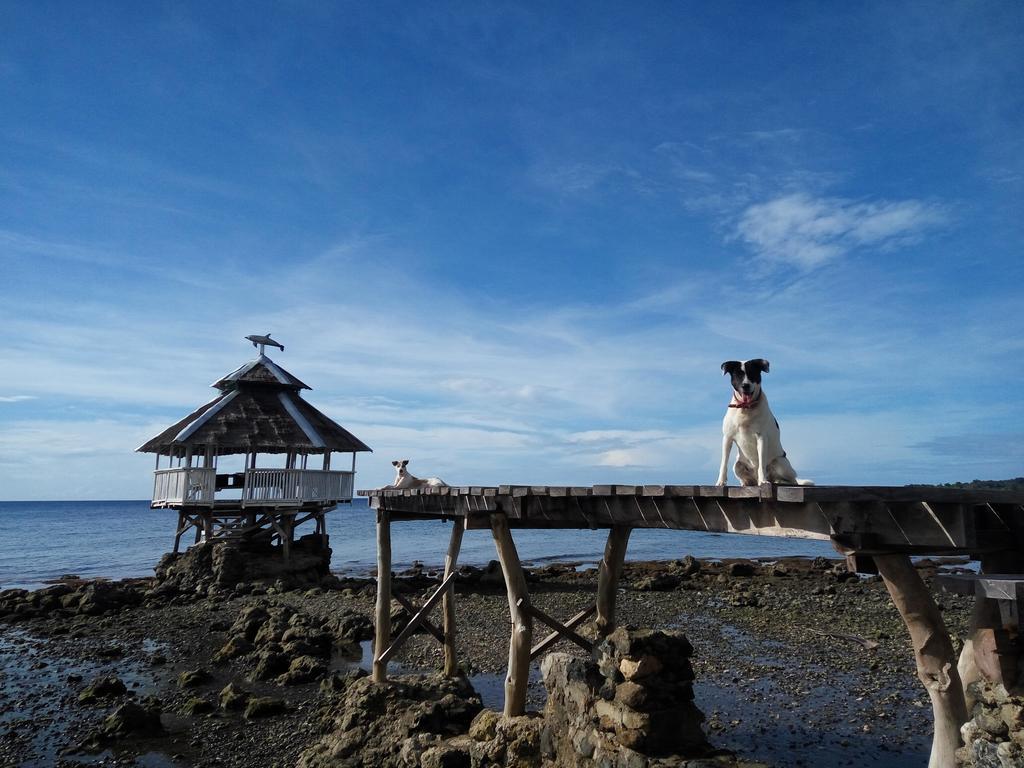 Paseo Del Mar Seaside Inn Jagna ภายนอก รูปภาพ